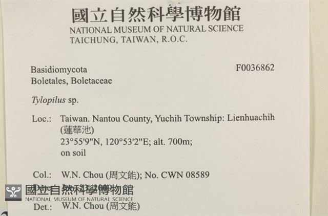 登錄號:F0036862藏品圖，第2張