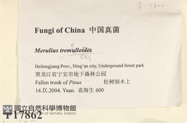 登錄號:F0017862藏品圖，第2張