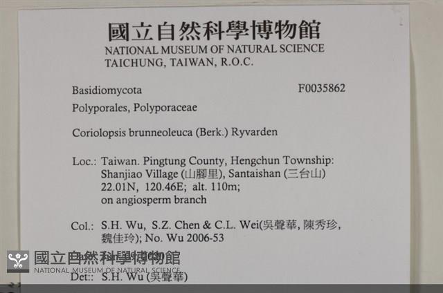 登錄號:F0035862藏品圖，第2張