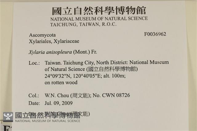 登錄號:F0036962藏品圖，第2張