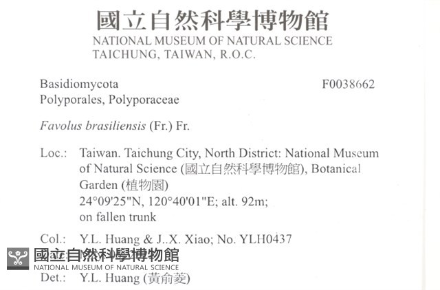 登錄號:F0038662藏品圖，第2張