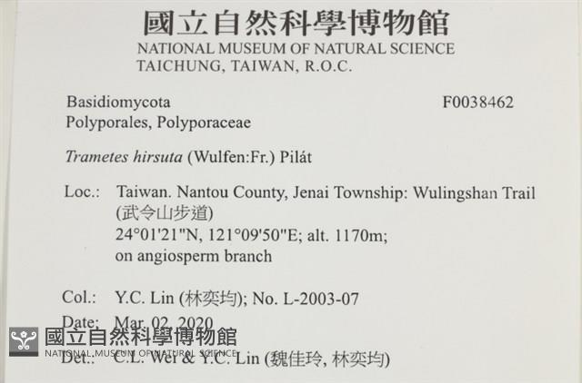 登錄號:F0038462藏品圖，第2張