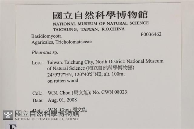 登錄號:F0036462藏品圖，第2張