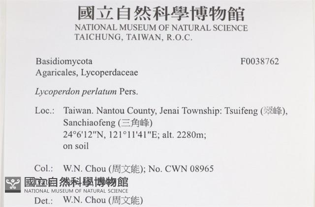 登錄號:F0038762藏品圖，第2張