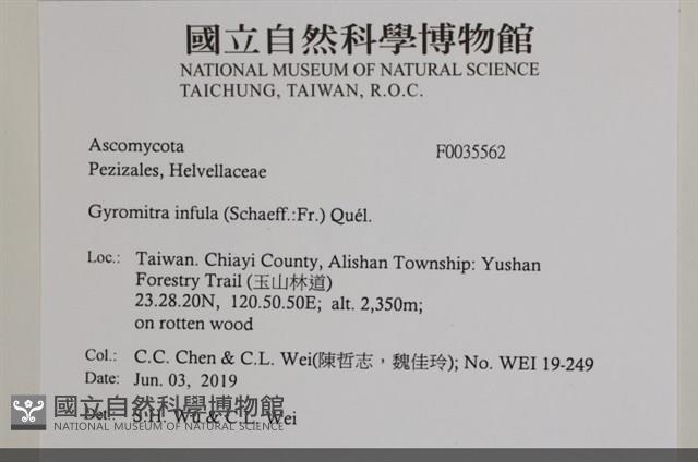 登錄號:F0035562藏品圖，第2張