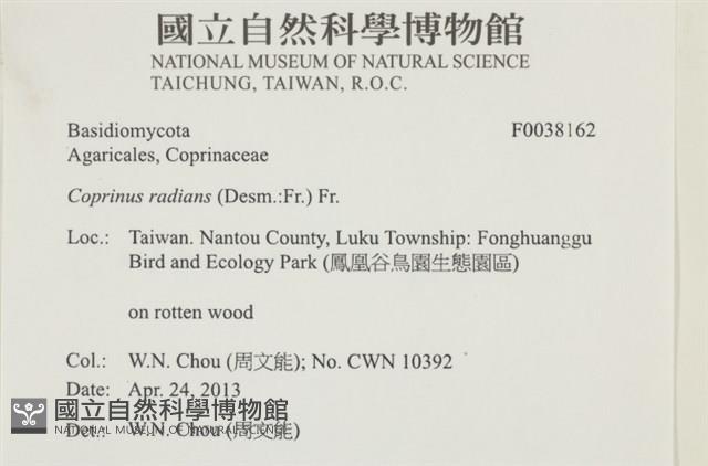 登錄號:F0038162藏品圖，第2張