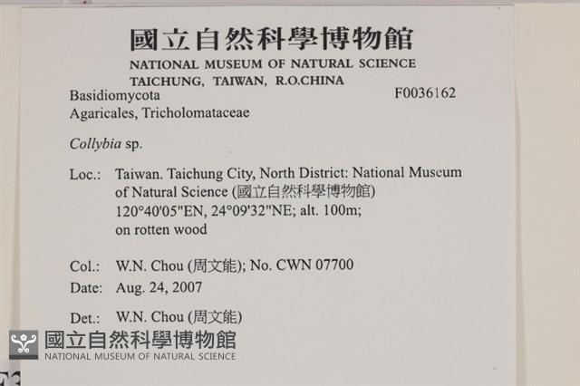 登錄號:F0036162藏品圖，第2張