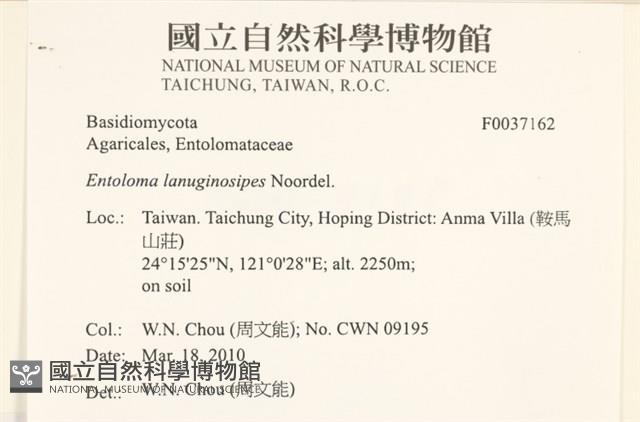 登錄號:F0037162藏品圖，第2張