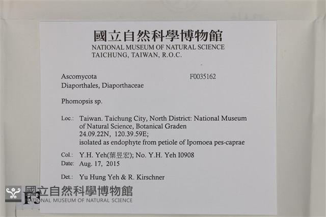 登錄號:F0035162藏品圖，第2張