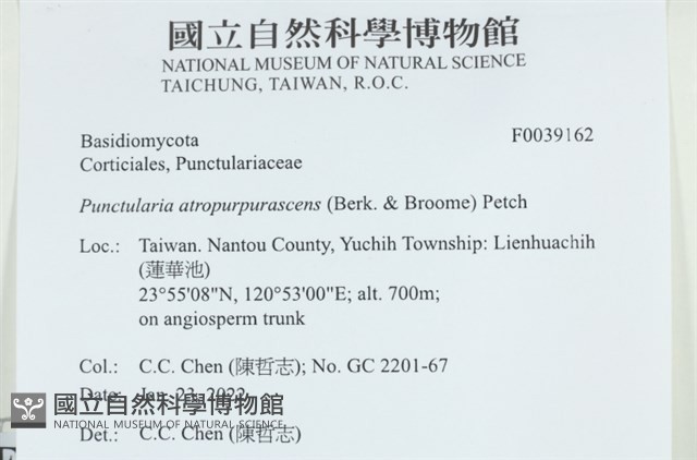 登錄號:F0039162藏品圖，第2張