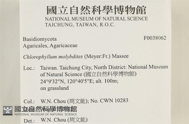 登錄號:F0038062藏品圖，第2張