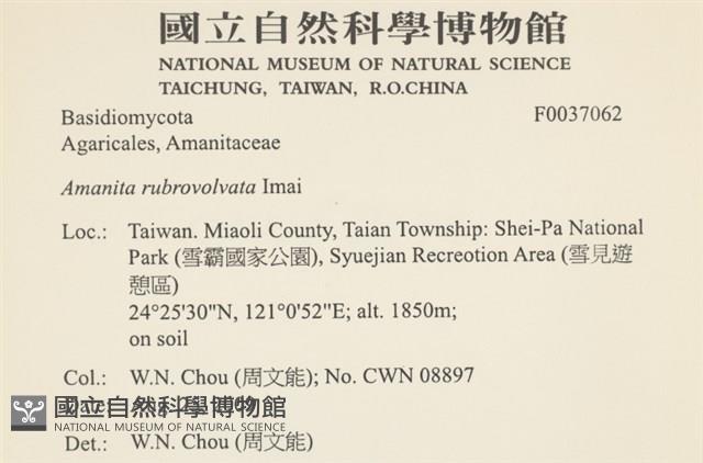 登錄號:F0037062藏品圖，第2張