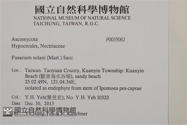 登錄號:F0035062藏品圖，第2張