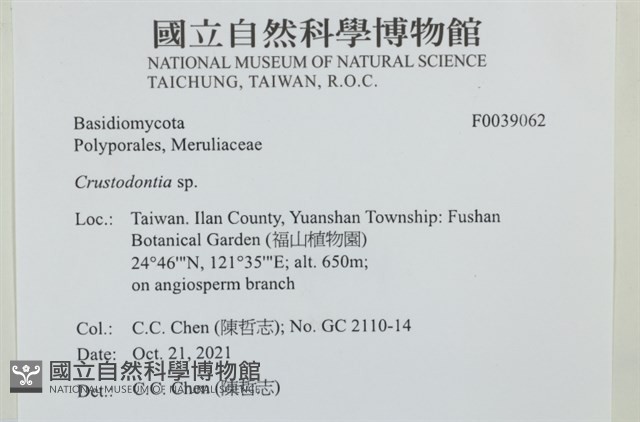 登錄號:F0039062藏品圖，第2張