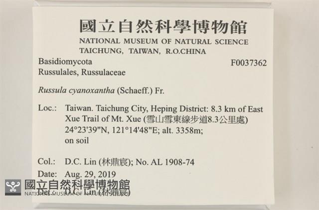 登錄號:F0037362藏品圖，第2張