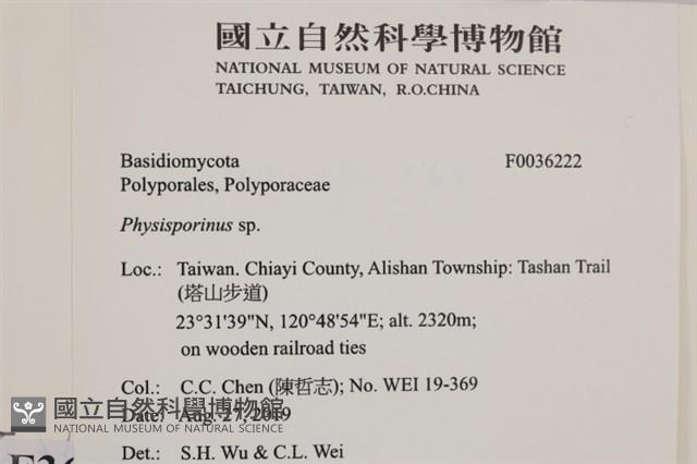 登錄號:F0036222藏品圖，第2張