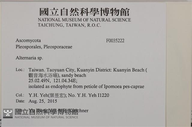 登錄號:F0035222藏品圖，第2張