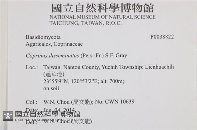 登錄號:F0038822藏品圖，第2張