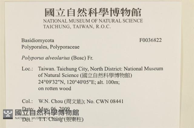 登錄號:F0036822藏品圖，第2張