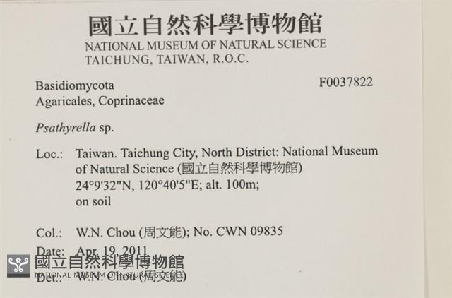登錄號:F0037822藏品圖，第2張