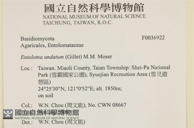 登錄號:F0036922藏品圖，第2張