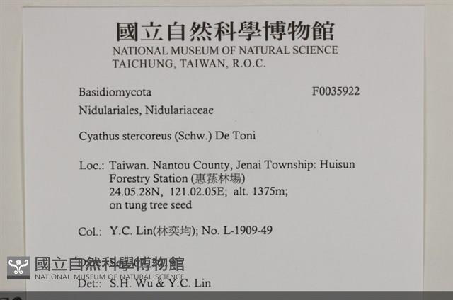 登錄號:F0035922藏品圖，第2張