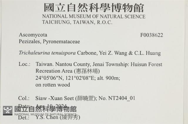登錄號:F0038622藏品圖，第2張