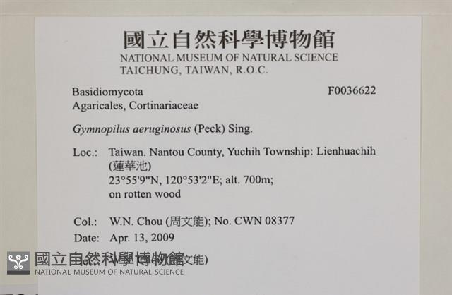 登錄號:F0036622藏品圖，第2張