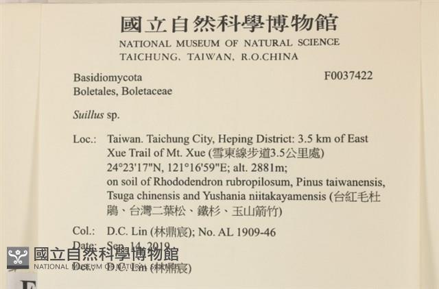 登錄號:F0037422藏品圖，第2張