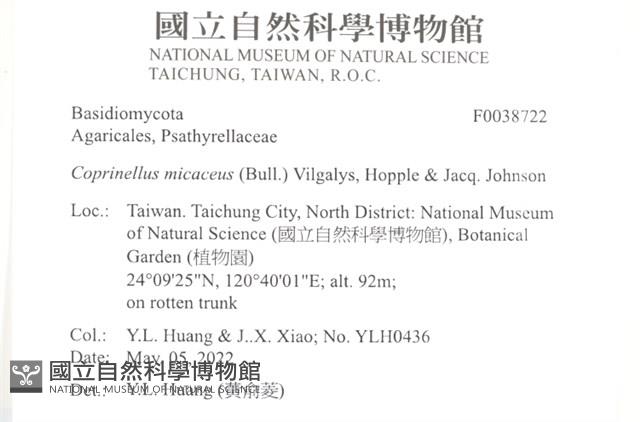 登錄號:F0038722藏品圖，第2張