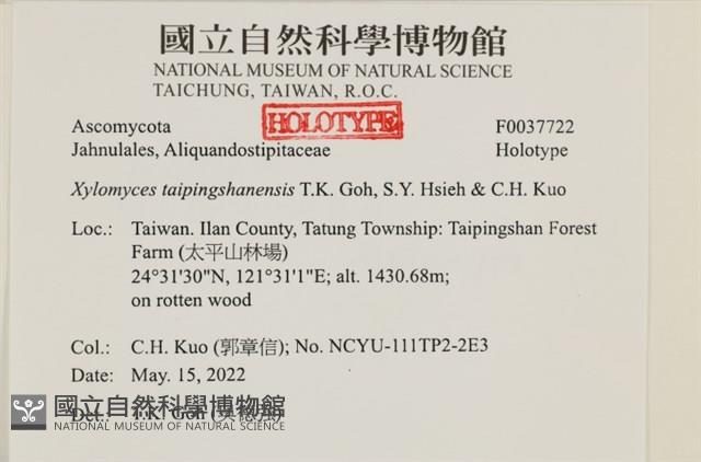 登錄號:F0037722藏品圖，第2張