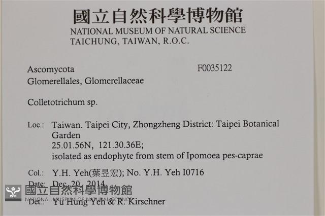 登錄號:F0035122藏品圖，第2張