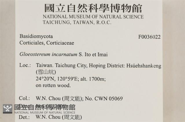 登錄號:F0036022藏品圖，第2張