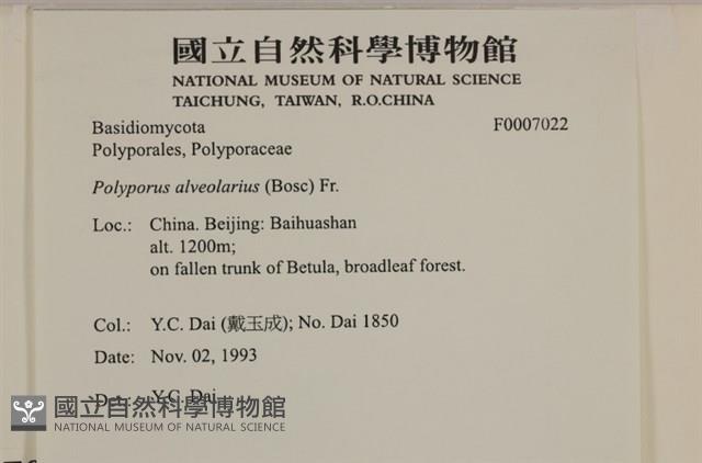 登錄號:F0007022藏品圖，第4張