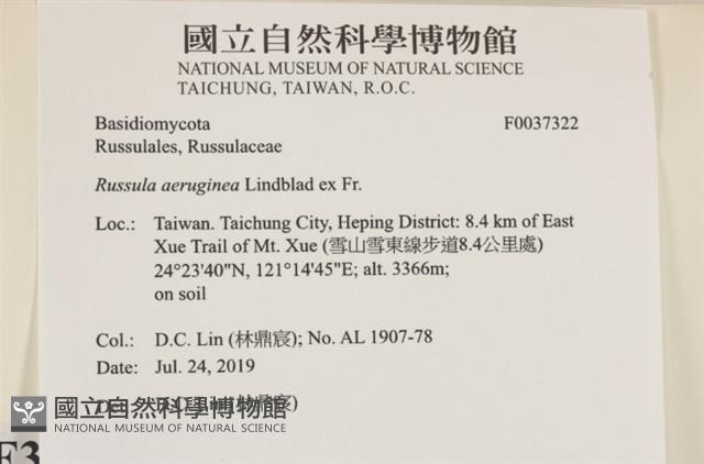 登錄號:F0037322藏品圖，第2張