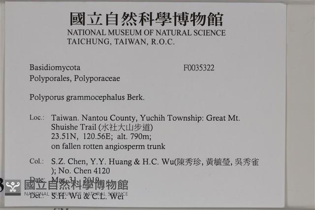 登錄號:F0035322藏品圖，第2張