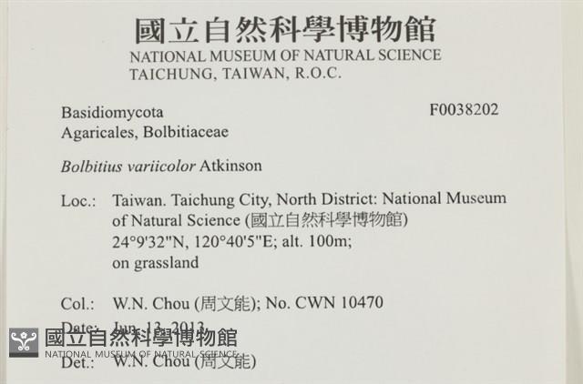 登錄號:F0038202藏品圖，第2張