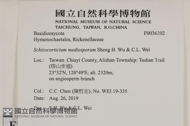 登錄號:F0036202藏品圖，第2張
