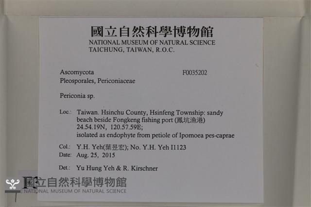 登錄號:F0035202藏品圖，第2張