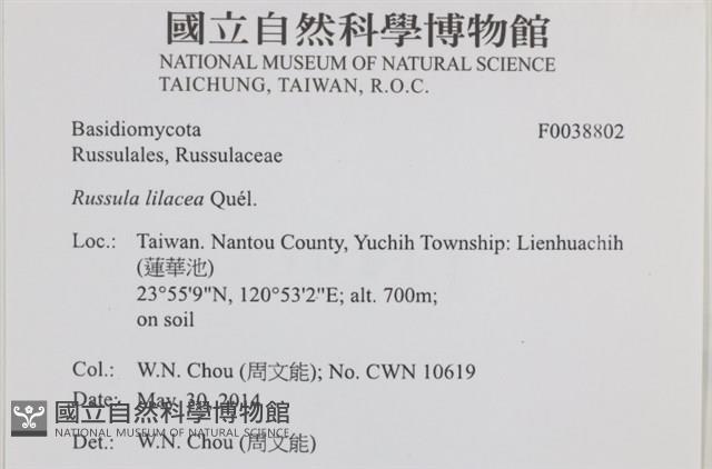 登錄號:F0038802藏品圖，第2張