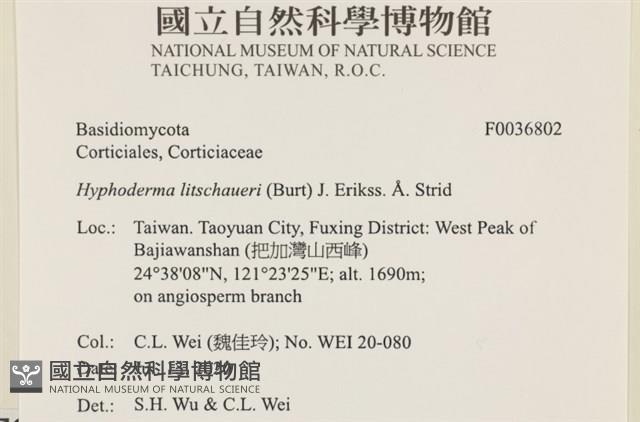 登錄號:F0036802藏品圖，第2張