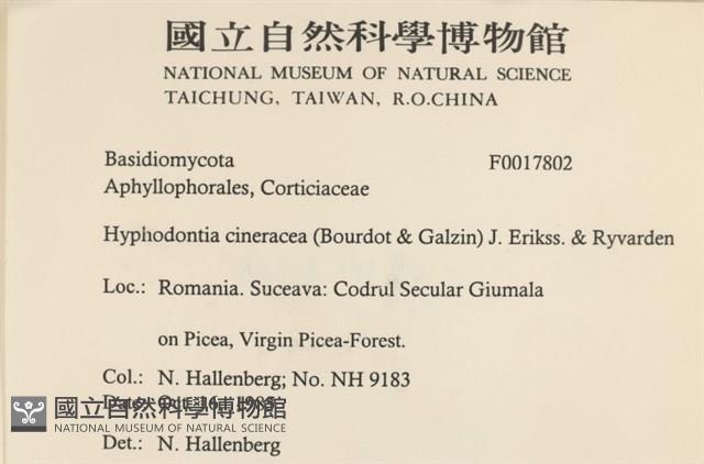 登錄號:F0017802藏品圖，第2張
