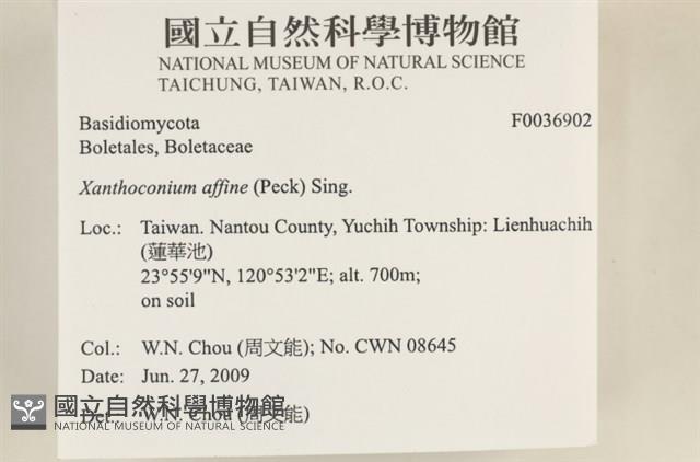 登錄號:F0036902藏品圖，第2張