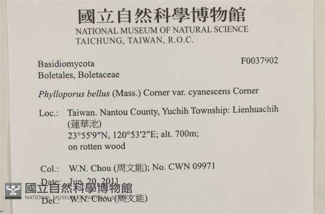 登錄號:F0037902藏品圖，第2張