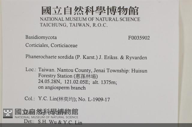 登錄號:F0035902藏品圖，第2張