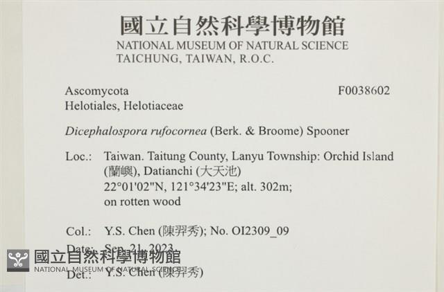 登錄號:F0038602藏品圖，第2張