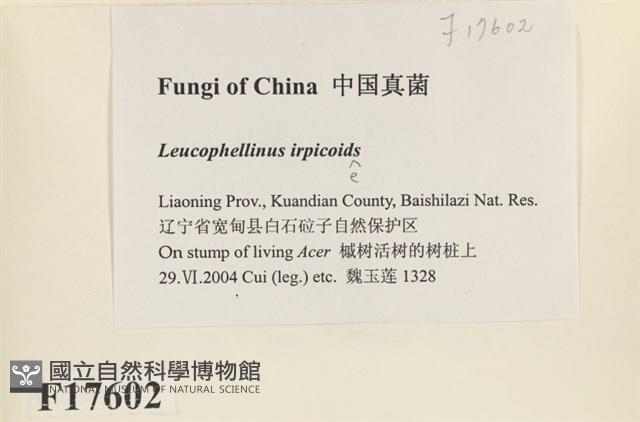 登錄號:F0017602藏品圖，第2張