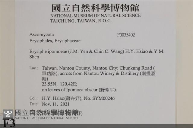 登錄號:F0035402藏品圖，第2張