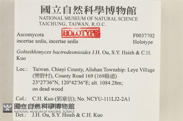登錄號:F0037702藏品圖，第2張