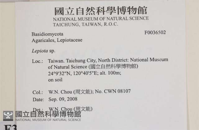 登錄號:F0036502藏品圖，第2張
